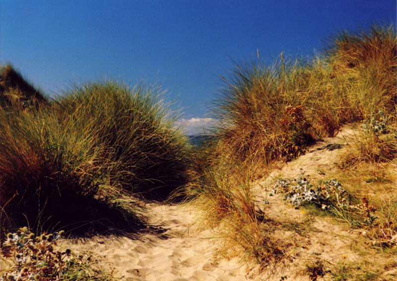 To save this picture as Windows Wallpaper - right click it - then select "Set as Background"